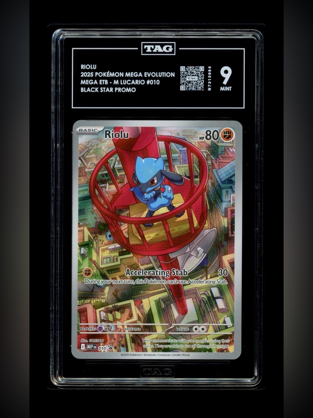 TAG 9 - Pokemon Riolu 010/Promo